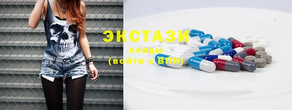 стаф Алзамай
