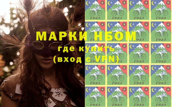 стаф Алзамай